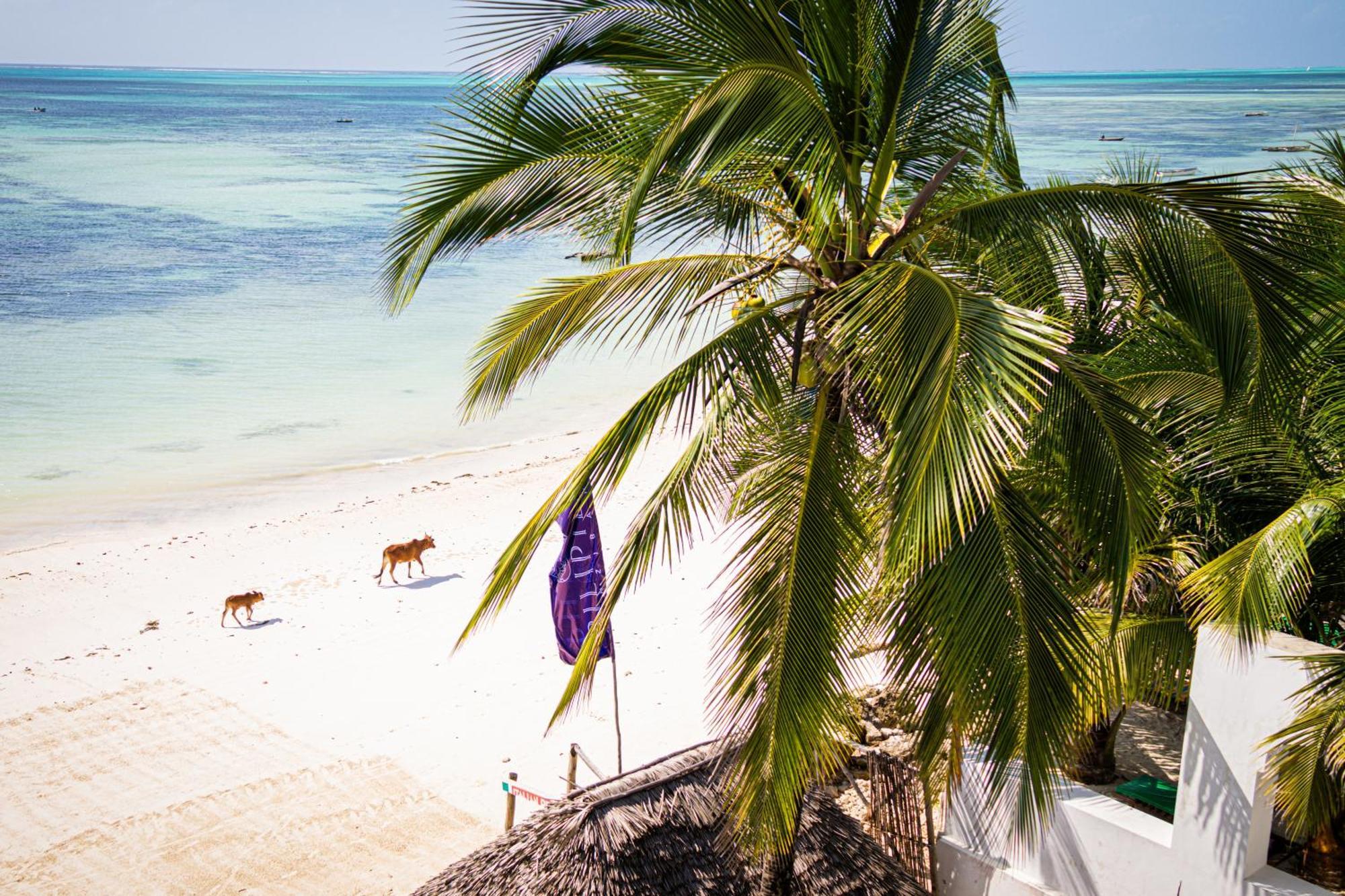 Sunrise Jambiani (Zanzibar) Exterior foto